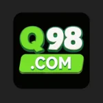 Q98 Game