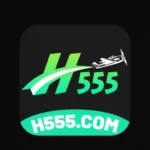 H555 Game