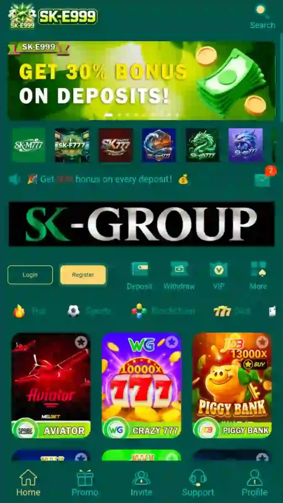 SK E999 Game