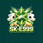 SK E999 Game